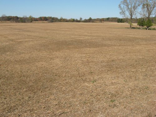 Property photo 56 - 110+/- Acres offered in 4 Tillable Tracts